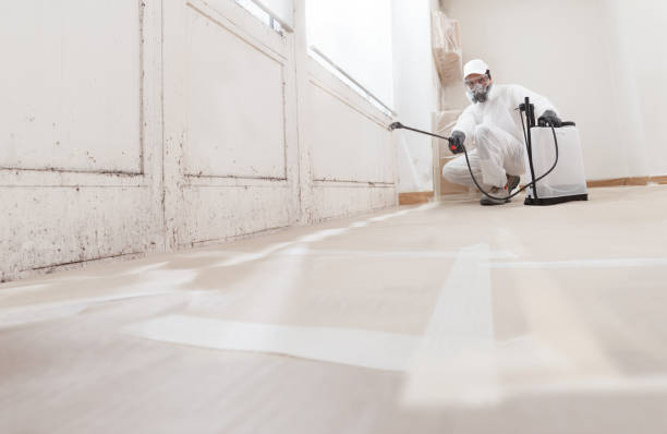 24/7 Emergency Bathroom Mold Removal experts in Shepherdsville, KY